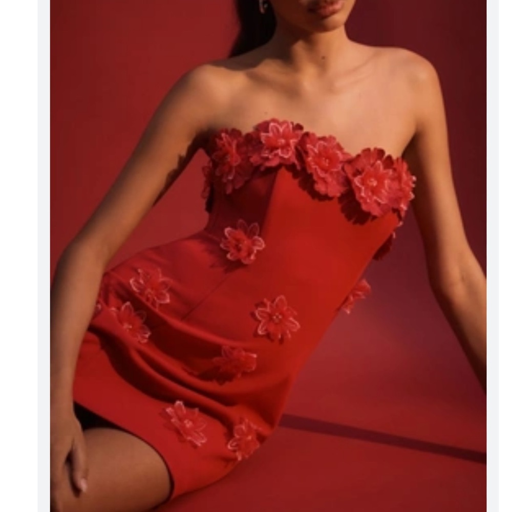 Nwt eliatt Anthropologie charlotte 3D Red Floral Strapless Dress